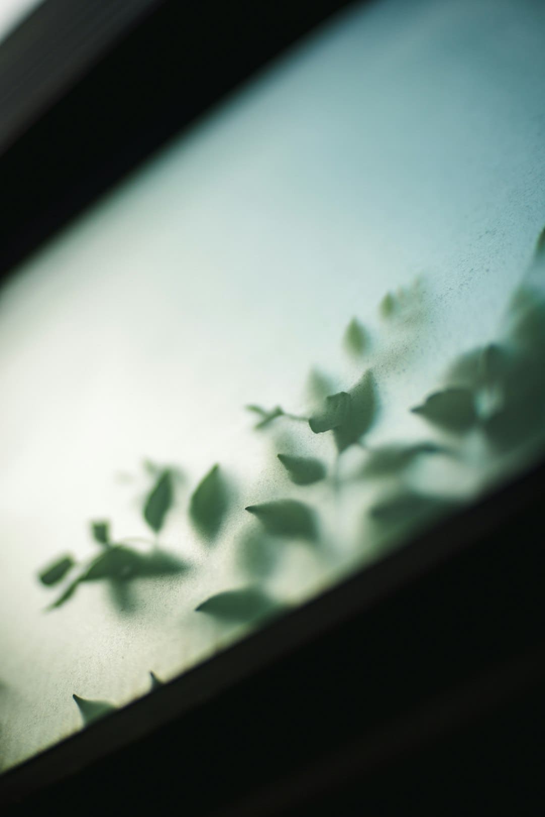 盯着拾荒老人不放，是怜悯？还是想遮羞？